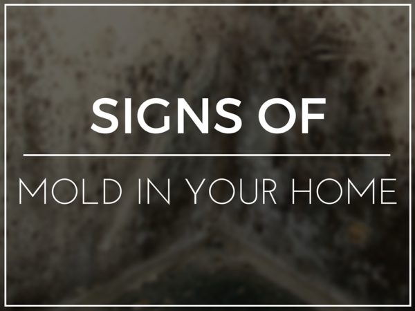 Signs of Mold