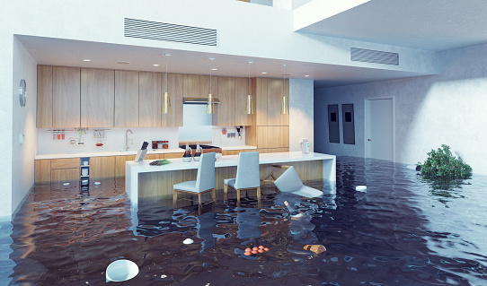 Flood Restoration San Diego