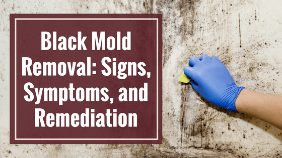 black mold removal