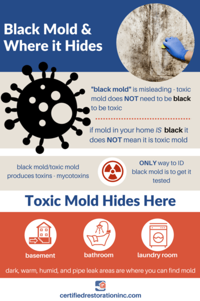What Are The Symptoms Of Black Mold Exposure Water Damage Restoration Flood Cleanup Certified Inc - Black Mold In Bathroom Bad For Health