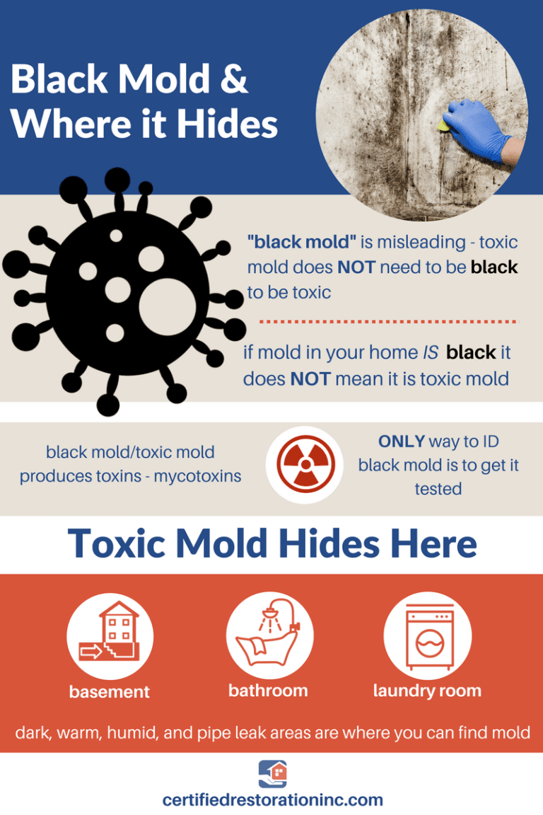 Does Black Mold Cause Health Problems