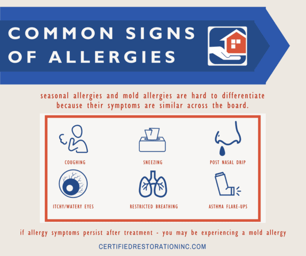 mold allergies