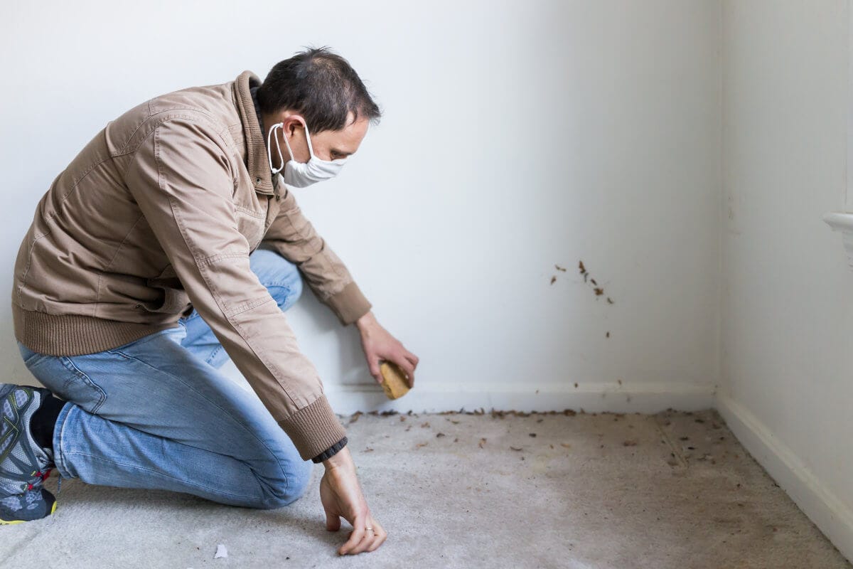 Man looking at potential Mold signs