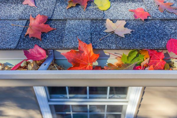 Leaves in gutter3