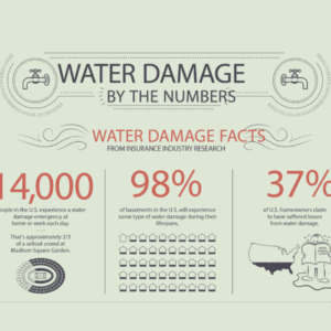 Water Damage Statistics