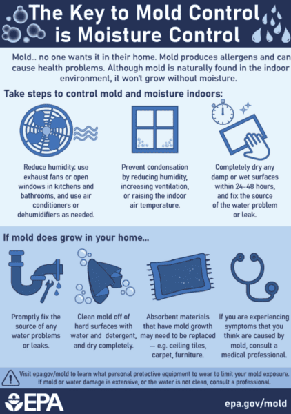 EPA Infographic and the best way to control mold