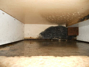 mositure and mold in crawl space