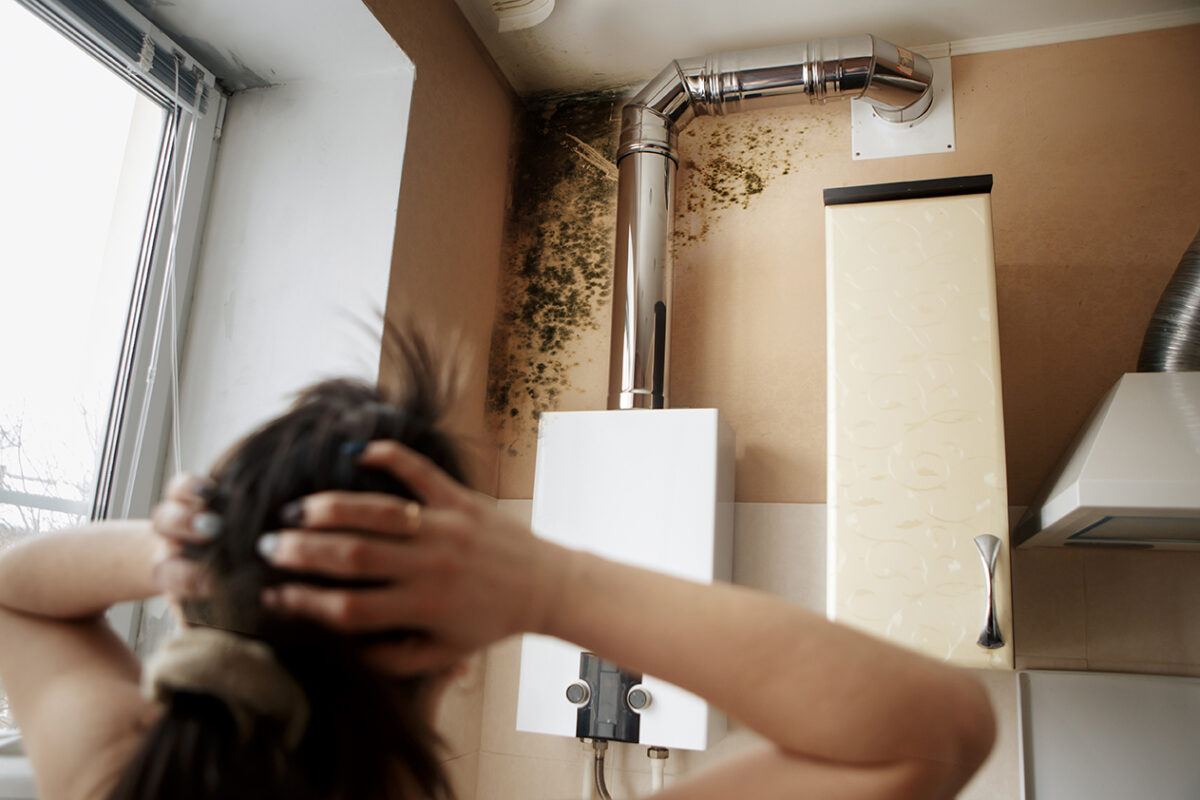 Mold Inspection & Removal In San Diego