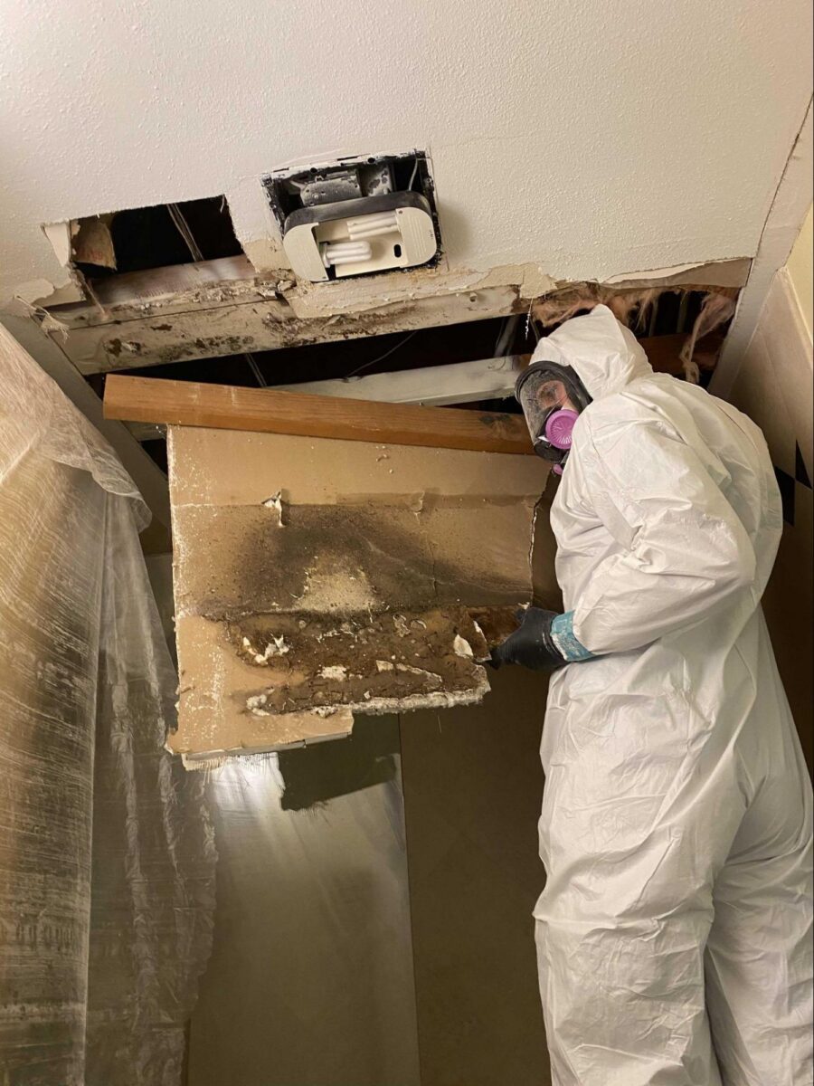 Mold Removal San Diego
